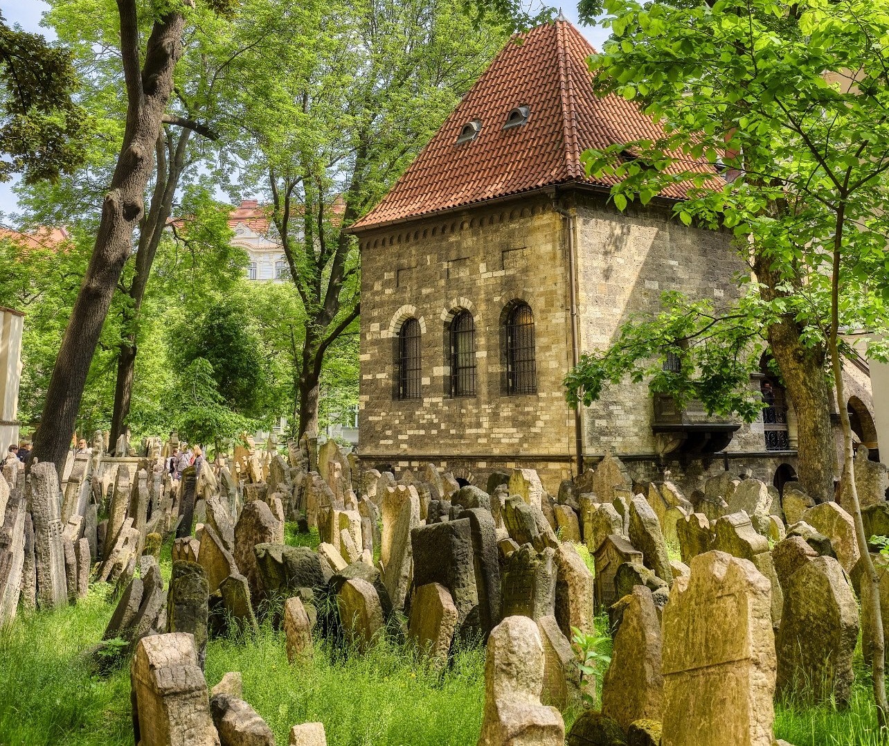 Las raíces judías en el antiguo cementerio checo
